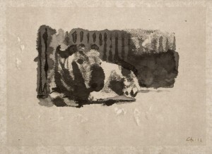 https://www.oliviercharpentier.com:443/files/gimgs/th-17_BDEF  Takin couché.jpg